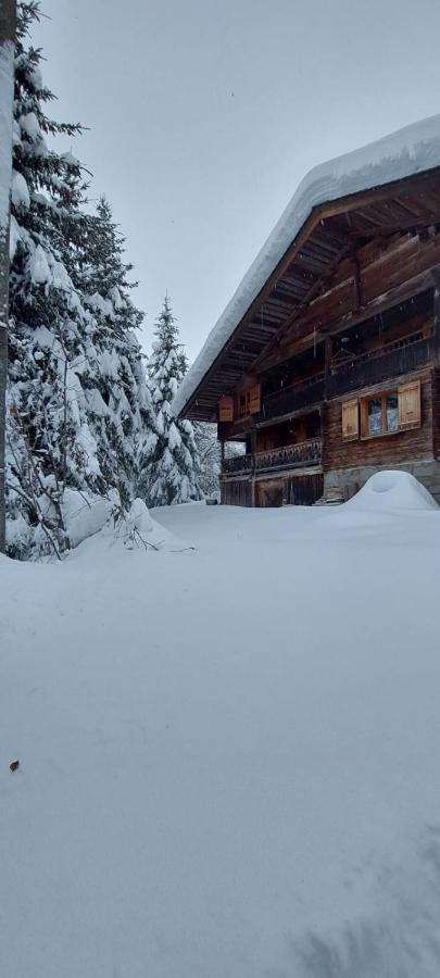 Charmieux Appartement En Chalet Typique Le Grand-Bornand Exterior foto